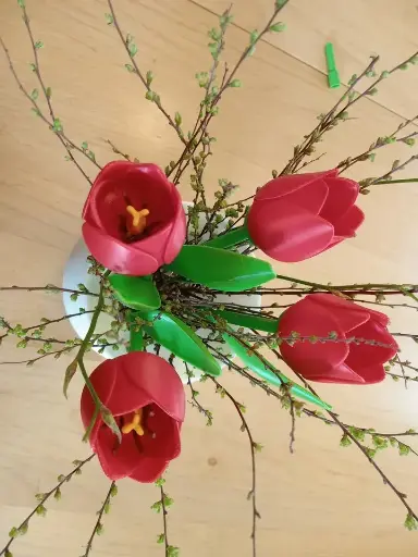 Beautiful Tulip With Stem - Best Valentine’s Day Gift (1 piece)